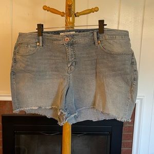 Torrid Jean shorts size 24